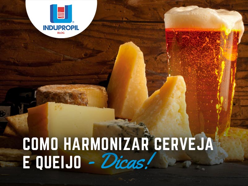 Dicas de como harmonizar cervejas e queijos!   